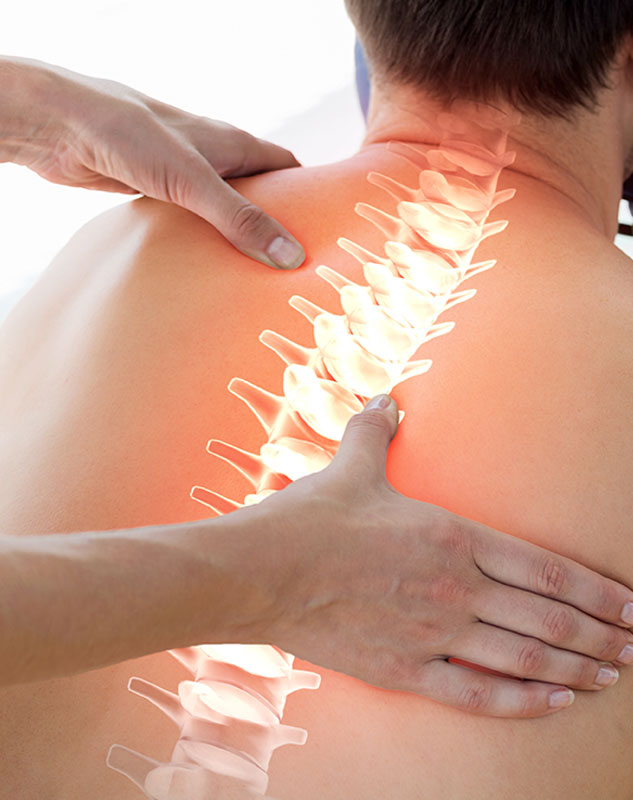 Chiropractic Care service